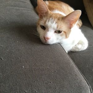 Meet your Posher, Haley